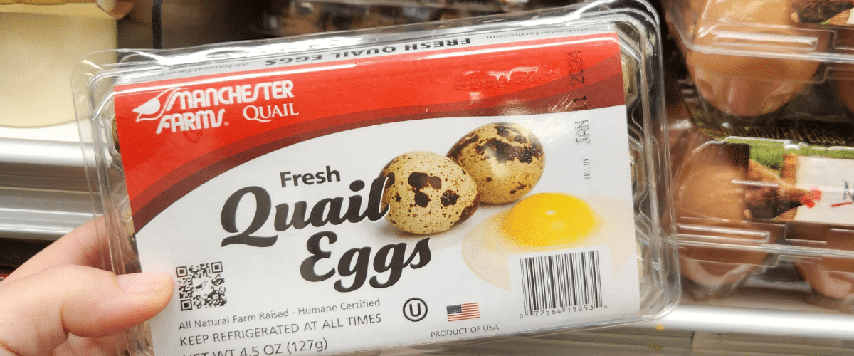 [Pulmuone] Quail Eggs 270g main image 1